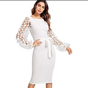 Mesh Bishop Sleeve Bodycon Pencil Dress